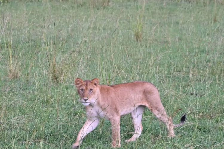 WhatsApp Image 2025-07-06 at 19.23.29 (2)